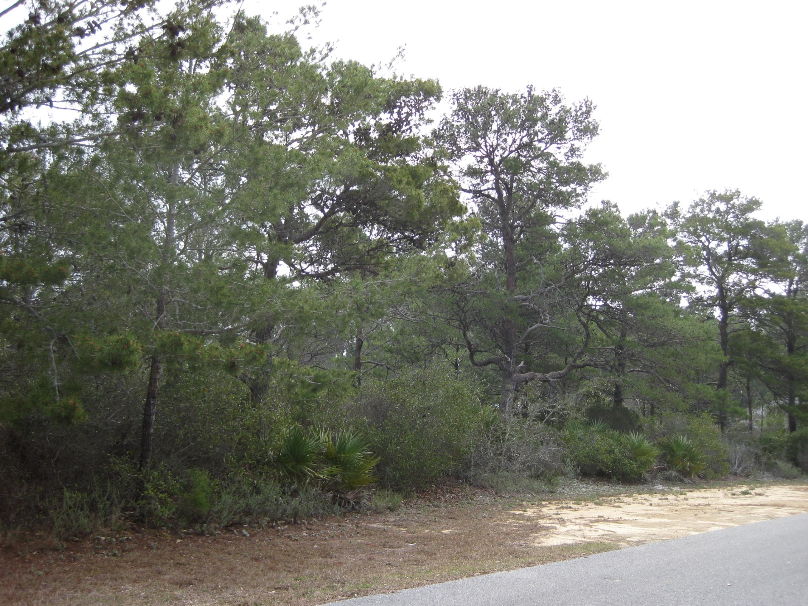 SANTA ROSA RIDGE UNIT 2 - Land