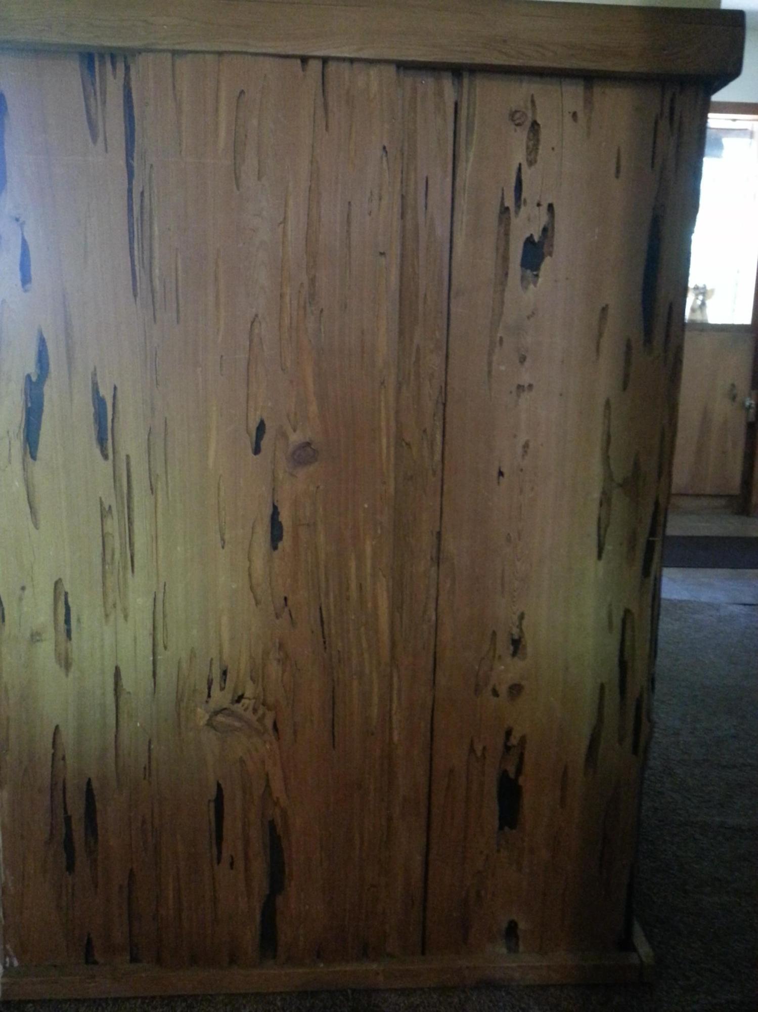 Wewahitchka, Gulf County Florida, about 25 miles north of Port St. Joe. - Residential