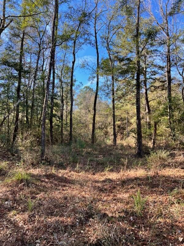 METES & BOUNDS - Land