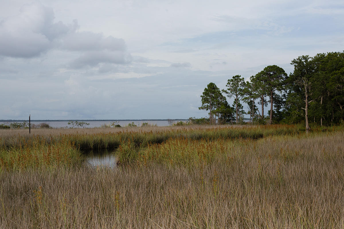 ESTUARY S/D - Residential
