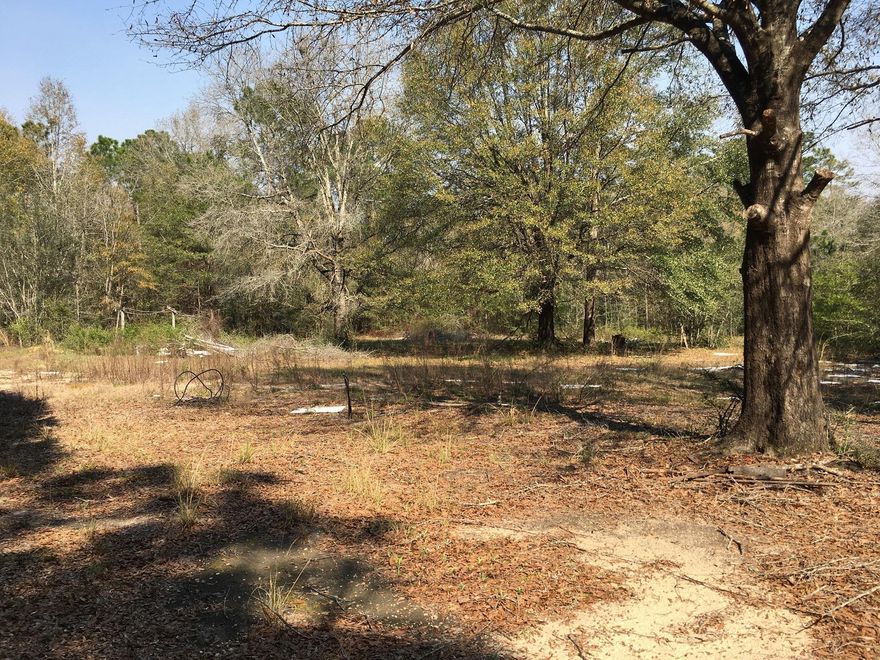 10 secluded acres ready for you to build! Property is majority woodland but it previously had a mobile home on it, so there is some land cleared near the entrance. The terrain is flat and dry. This would make a great property to build a home or for a mobile home with additional buildings.