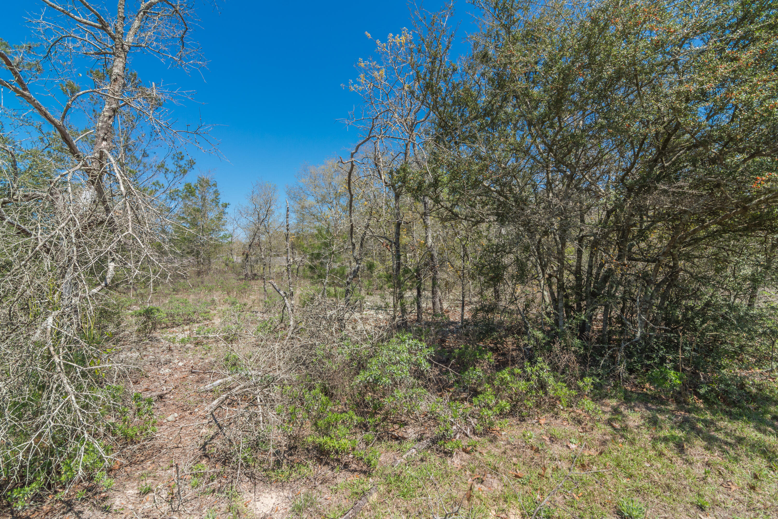 OAKWOOD HILLS UNIT 1 - Land