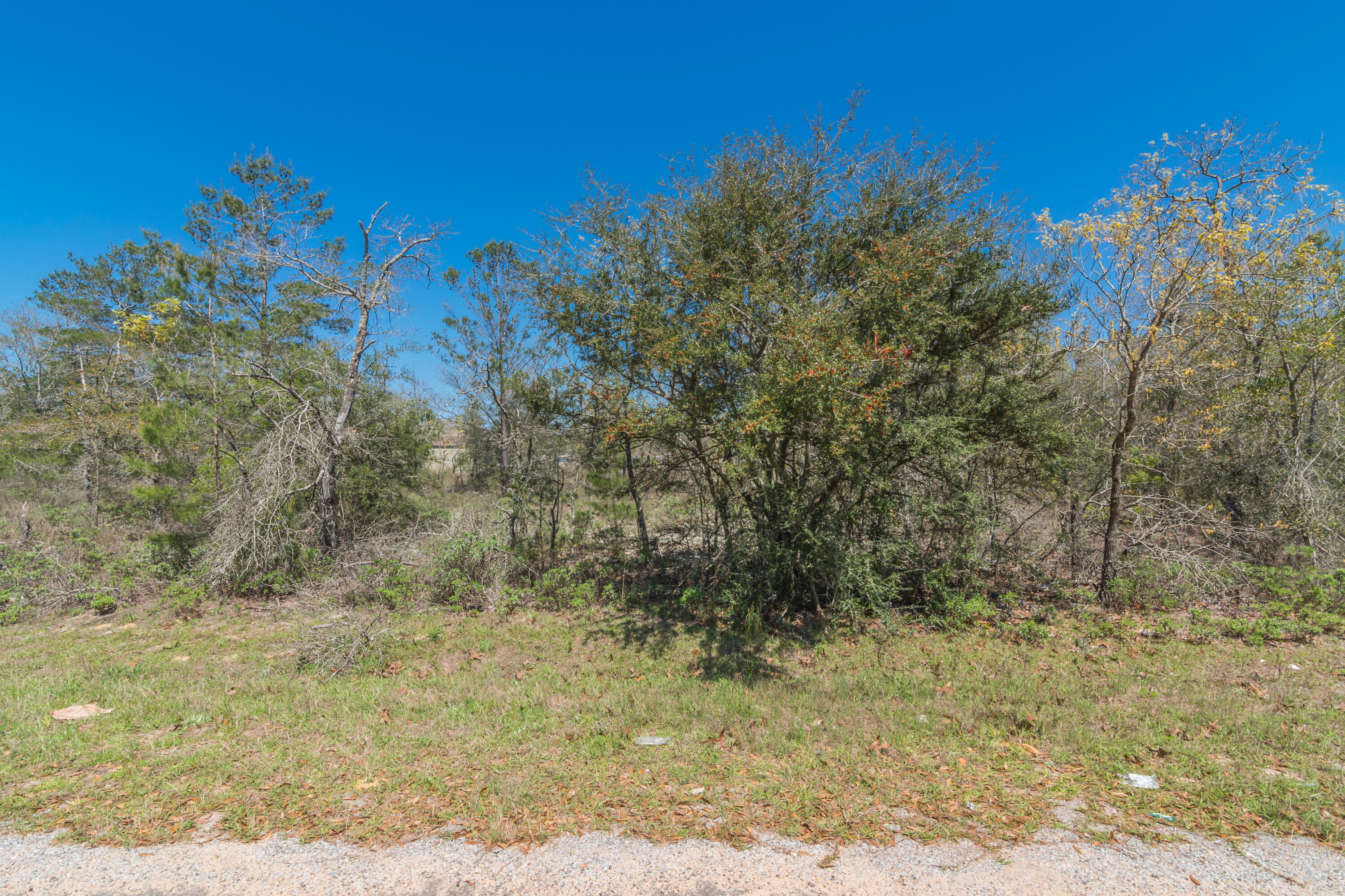 OAKWOOD HILLS UNIT 1 - Land