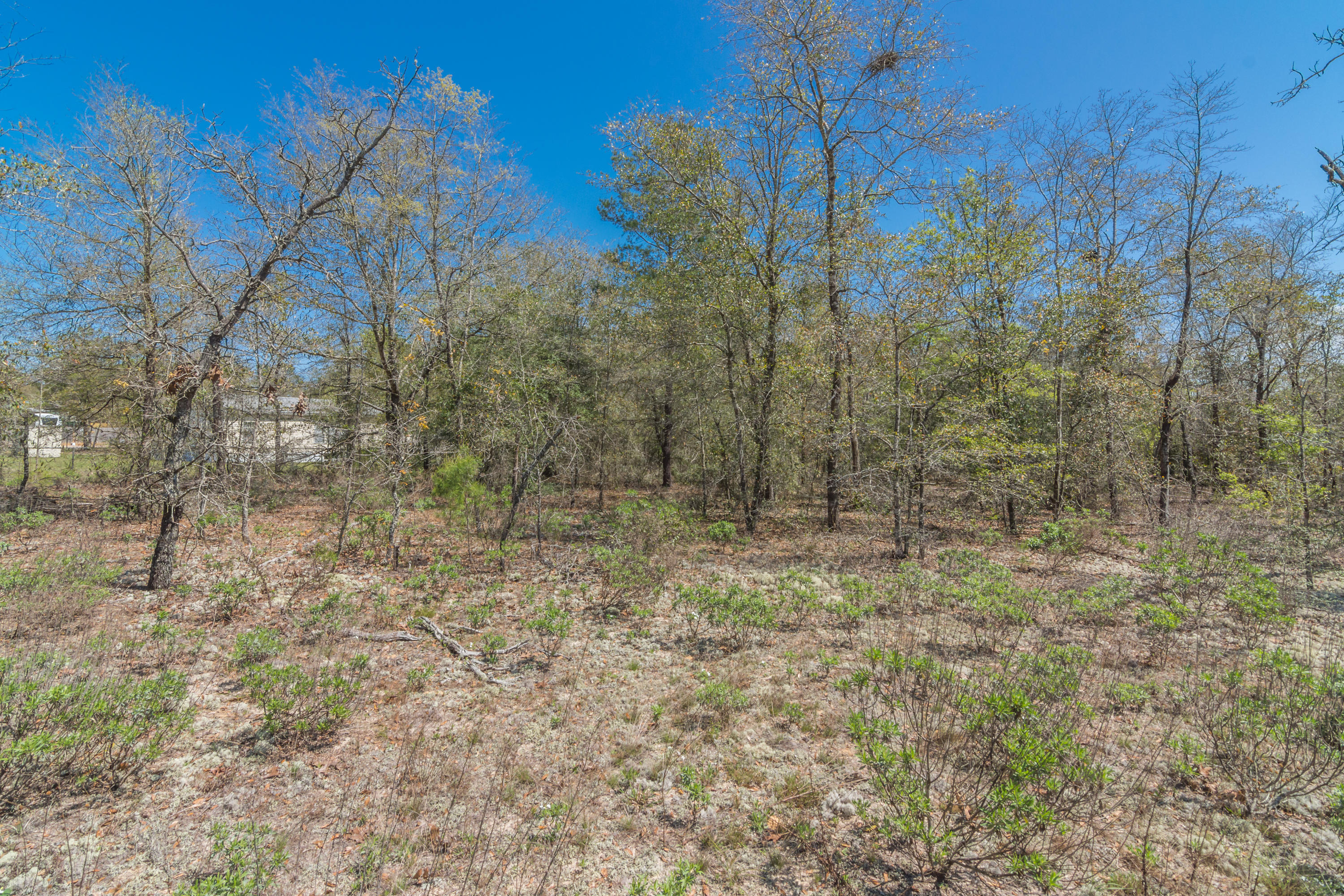 OAKWOOD HILLS UNIT 1 - Land