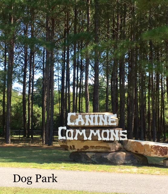 HAMMOCK BAY/SYMPHONY - Residential