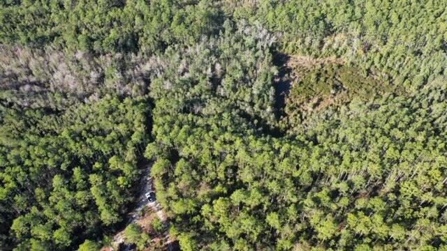 Joe Dugger Rd towards WINDSWEPT ESTATES - Land