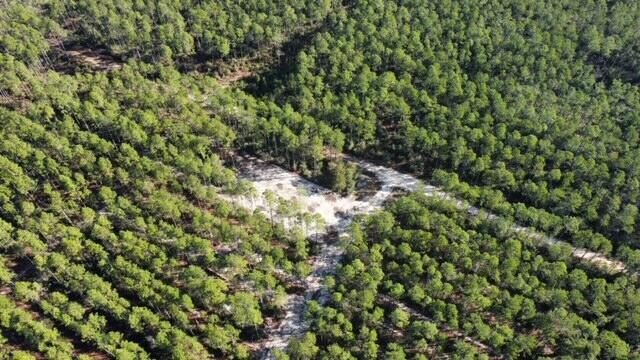 Joe Dugger Rd towards WINDSWEPT ESTATES - Land