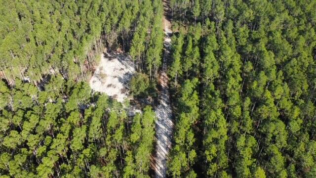 Joe Dugger Rd towards WINDSWEPT ESTATES - Land