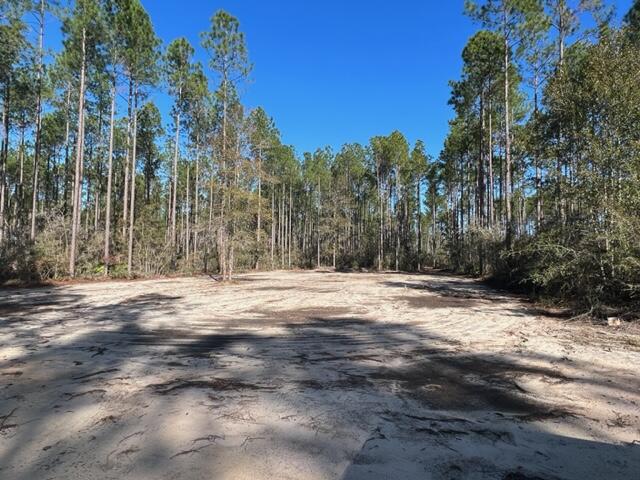 Joe Dugger Rd towards WINDSWEPT ESTATES - Land