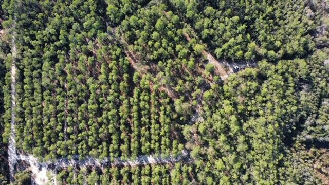 Joe Dugger Rd towards WINDSWEPT ESTATES - Land