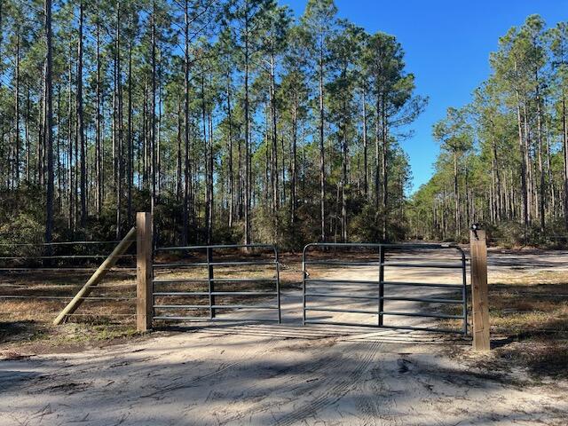 Joe Dugger Rd towards WINDSWEPT ESTATES - Land