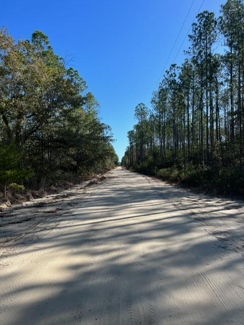 Joe Dugger Rd towards WINDSWEPT ESTATES - Land