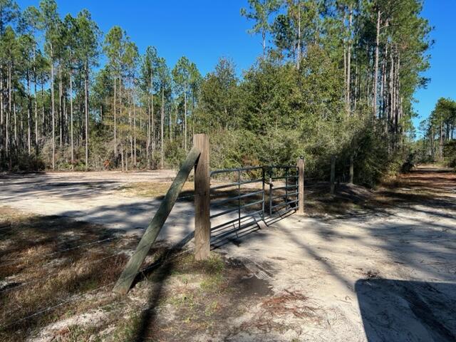 Joe Dugger Rd towards WINDSWEPT ESTATES - Land
