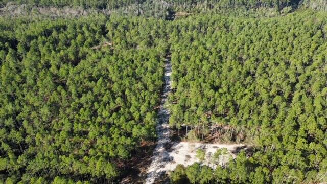 Joe Dugger Rd towards WINDSWEPT ESTATES - Land