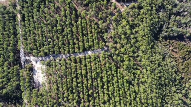Joe Dugger Rd towards WINDSWEPT ESTATES - Land