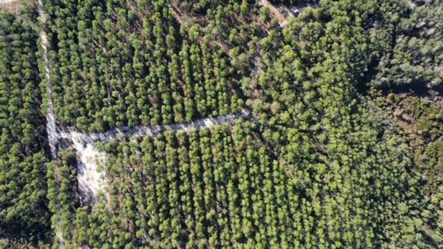 20 Acres Vacant land zoned Residential Estate with todays max density at 1 home per every 5 acres.You will need to put in a well for water and  septic. Electricity is available along Easement road.Owners have complete  set of plans for a Home that they were going to build the first home. Land has been split into 2 parcels and are being sold together as 20 acres. There To east you have Windswept Estates and to the north there is over 2000 acres of land for future Utility use. Buyer to perform due diligence in all matters of importance and future developments regarding City Sewer and water planning. Deeded easement road off Joe Dugger to property. Also has a fenced gate in front of center of 20 acres. Enjoy Beaches.Theres been several large parcels adjacent that have sold in 2022 Comp Surveys and plans are available upon request.