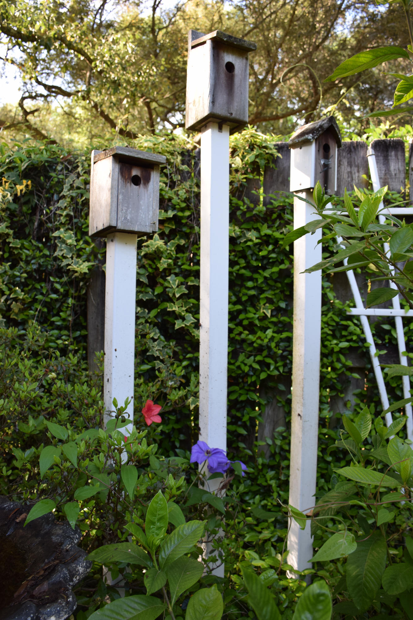 Village Oaks - Residential