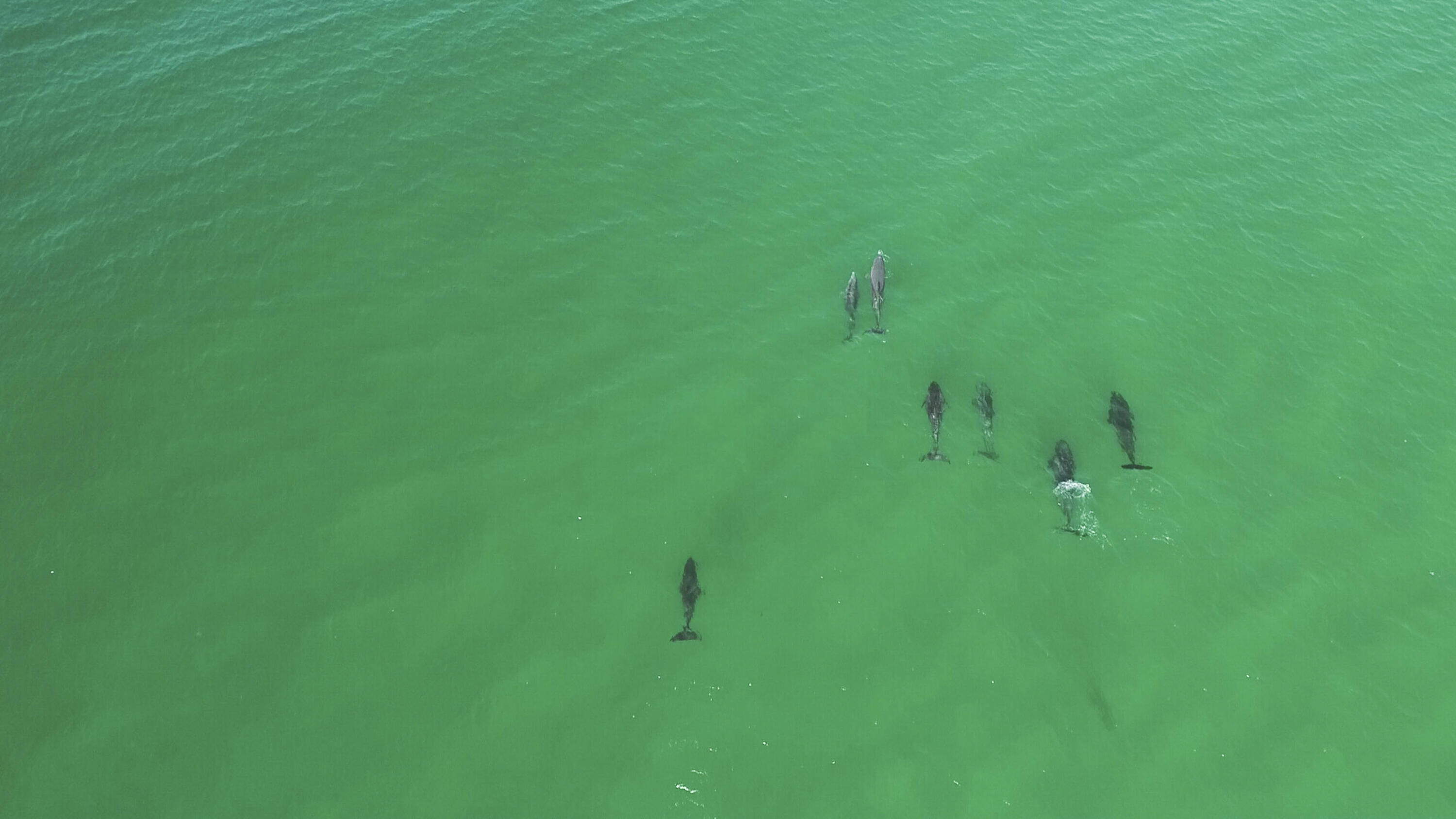 AVALON BEACH ESTATES - Residential