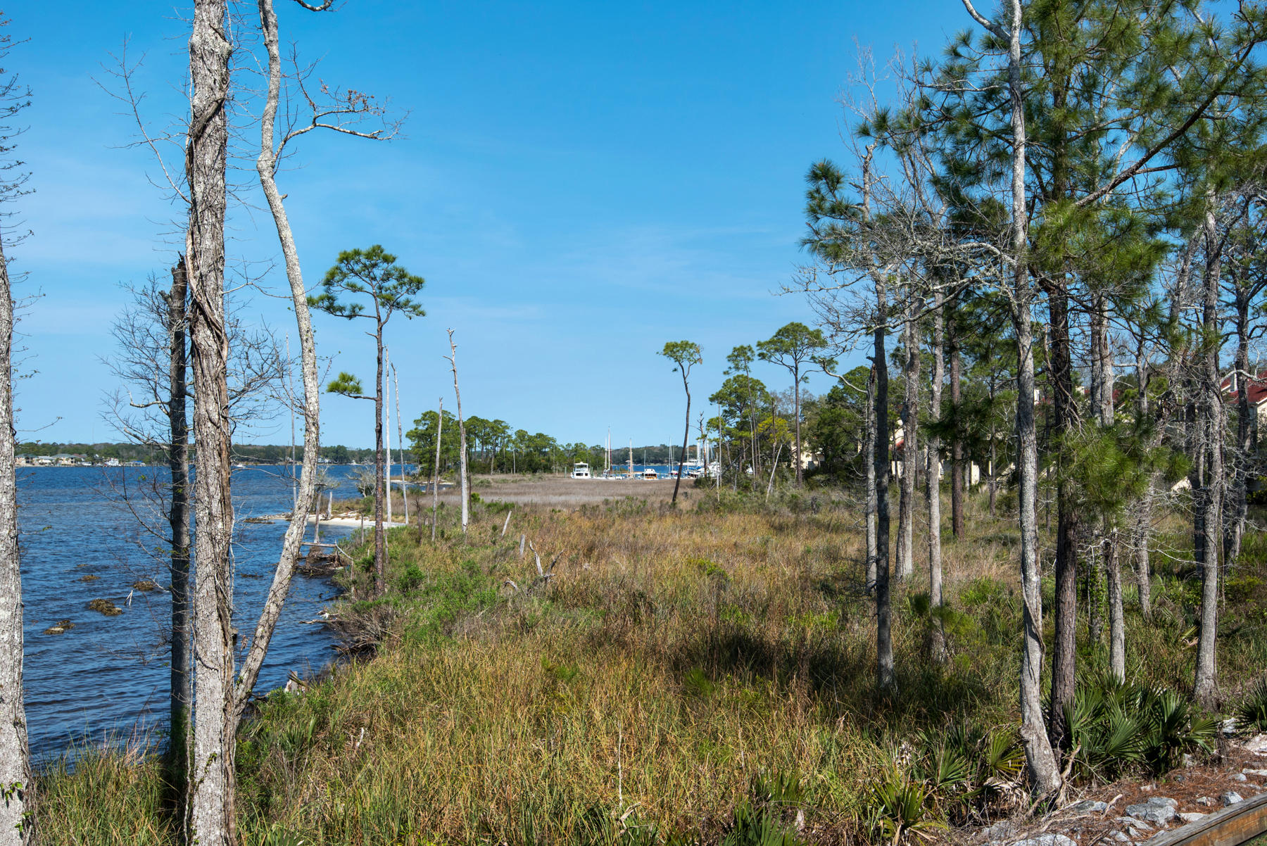 MARINA COVE VILLAGE PH 2 - Residential