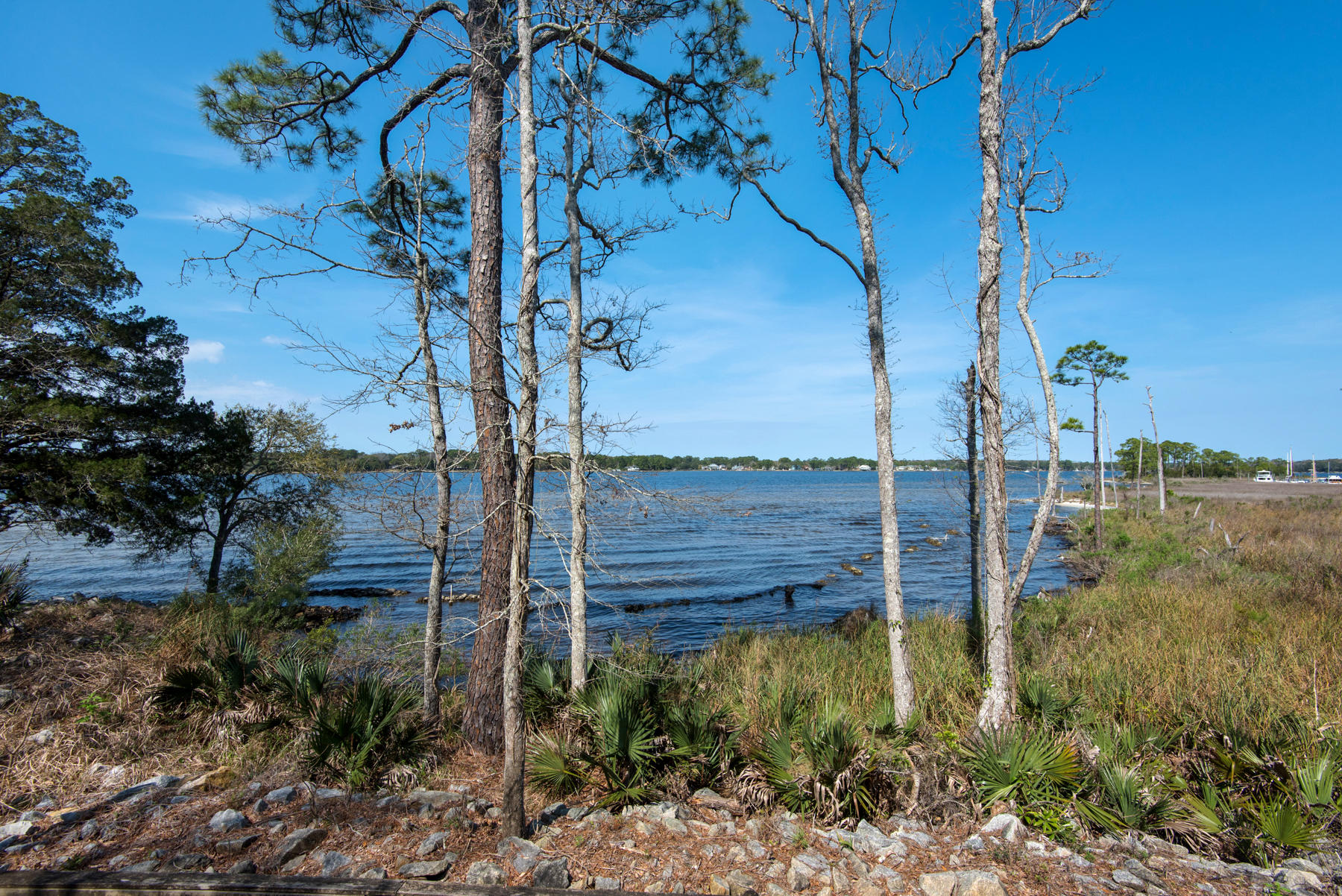 MARINA COVE VILLAGE PH 2 - Residential