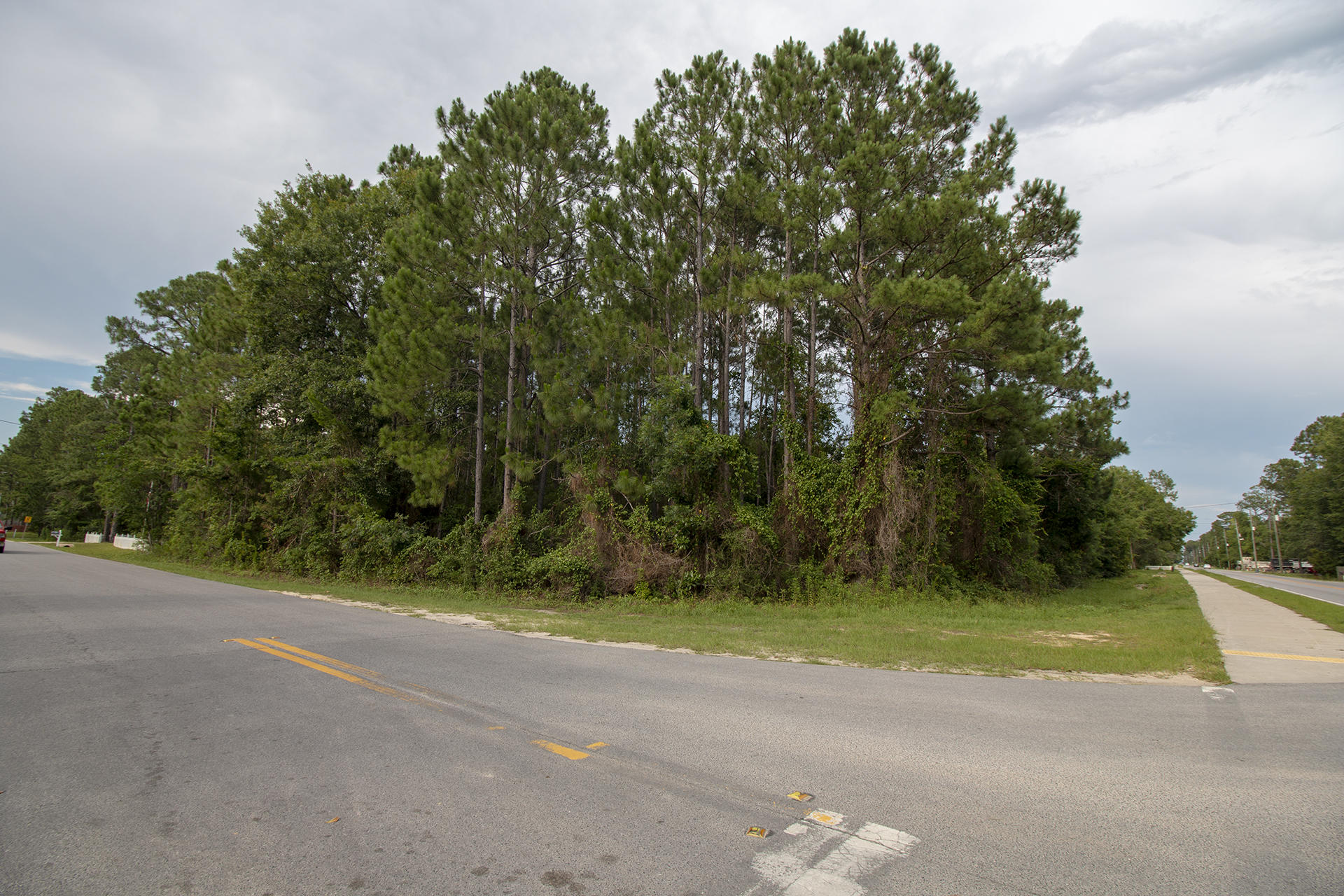 Nice sized, 0.29 Acre, corner lot with 100 feet on Chat Holly Rd and 130 Feet on N Eden park Dr. Just a short drive to the bay, beach, shopping, entertainment, & more. Don't miss this opportunity to build your dream home.