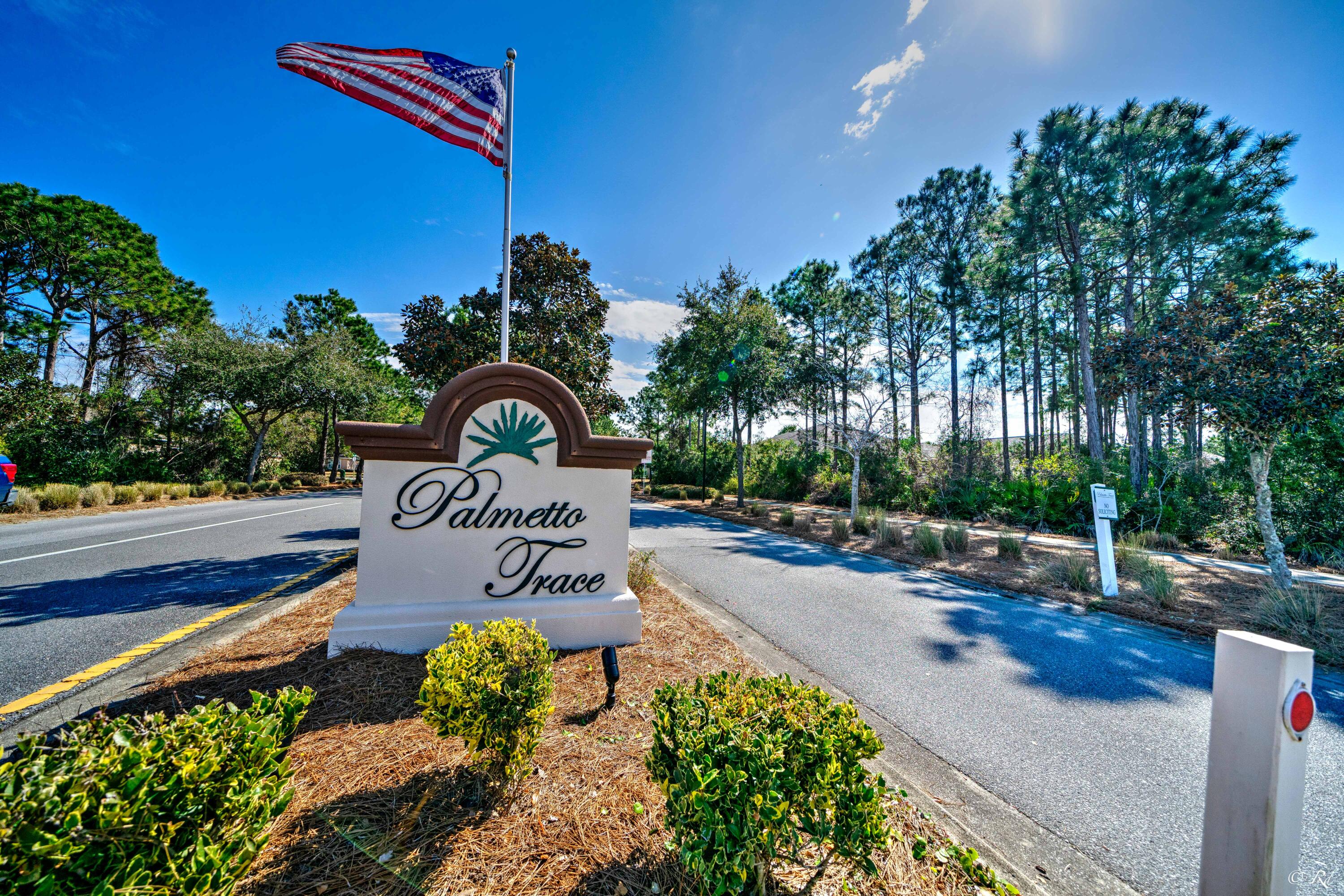 PALMETTO TRACE PHASE IV - Residential