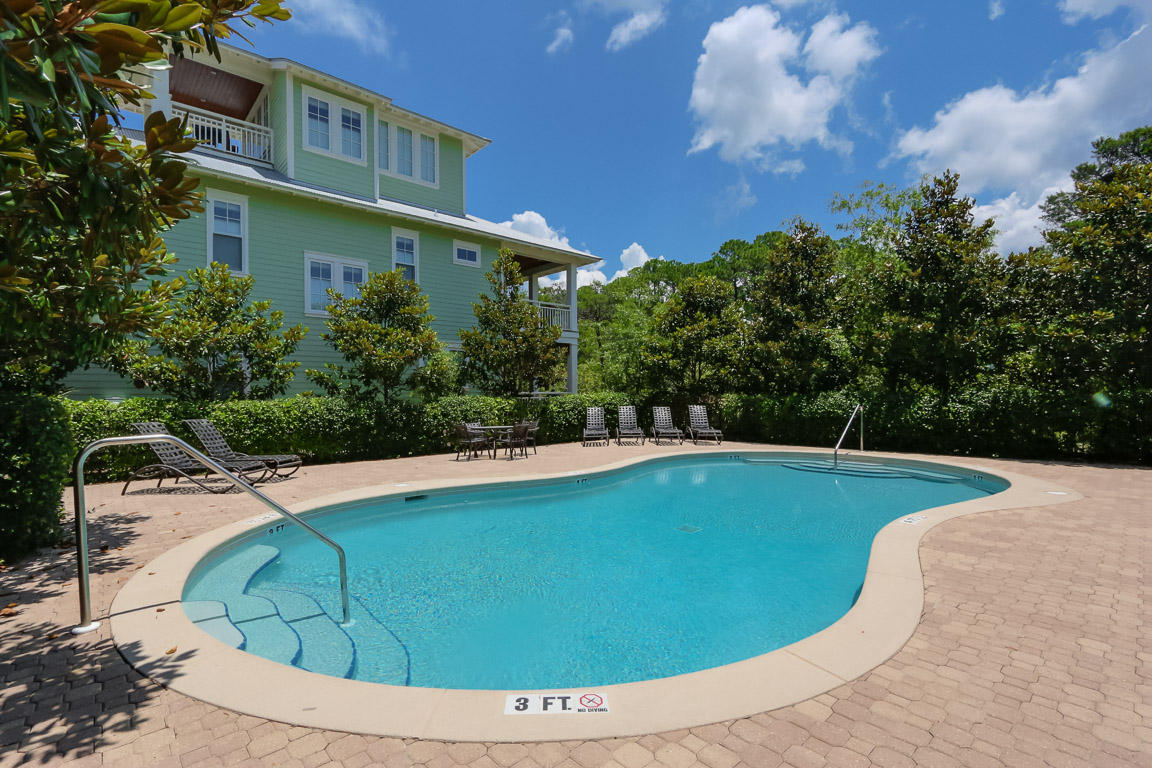 THE PRESERVE AT GRAYTON BEACH - Residential