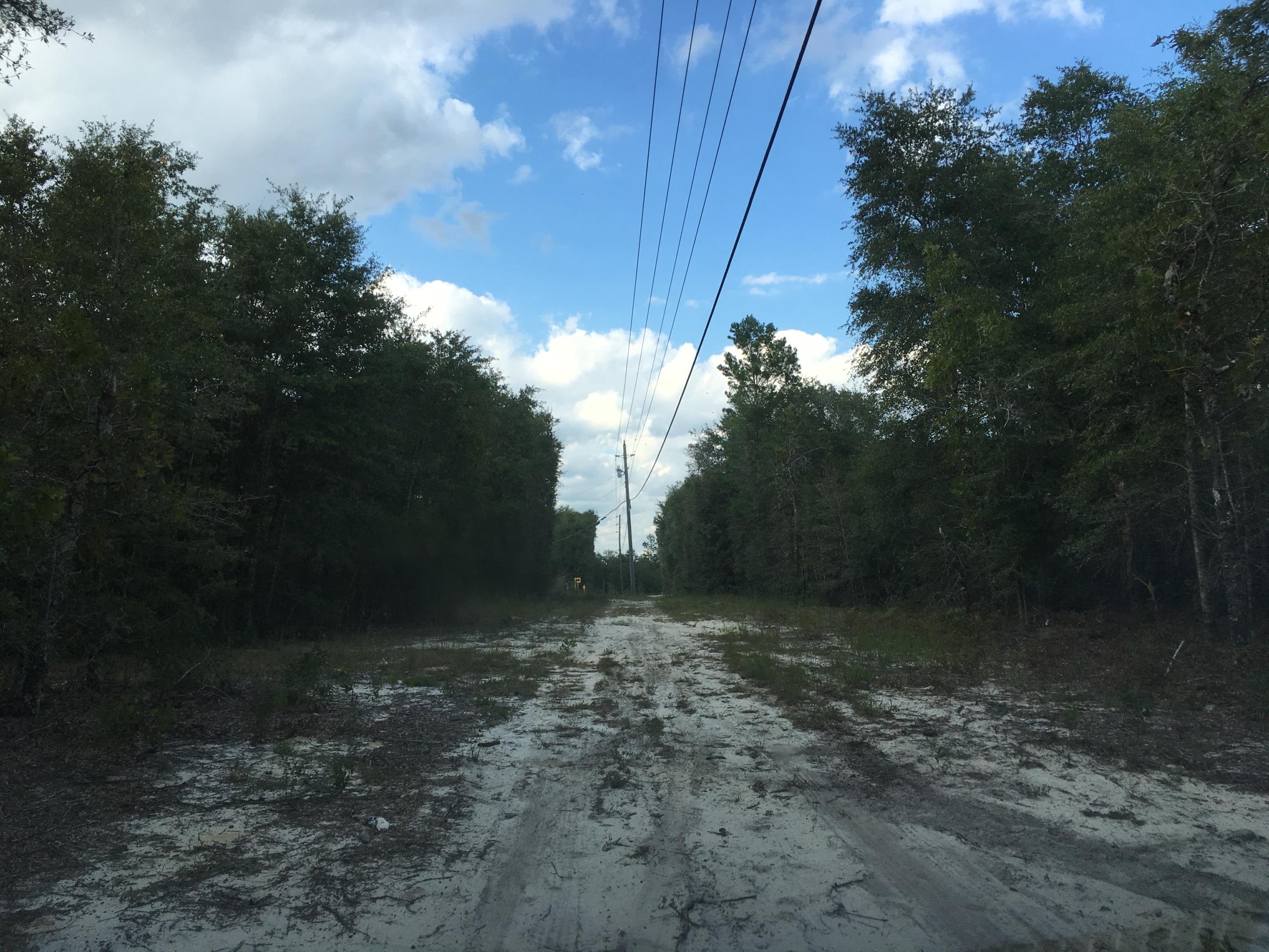 Holley Family Property Phase II - Land