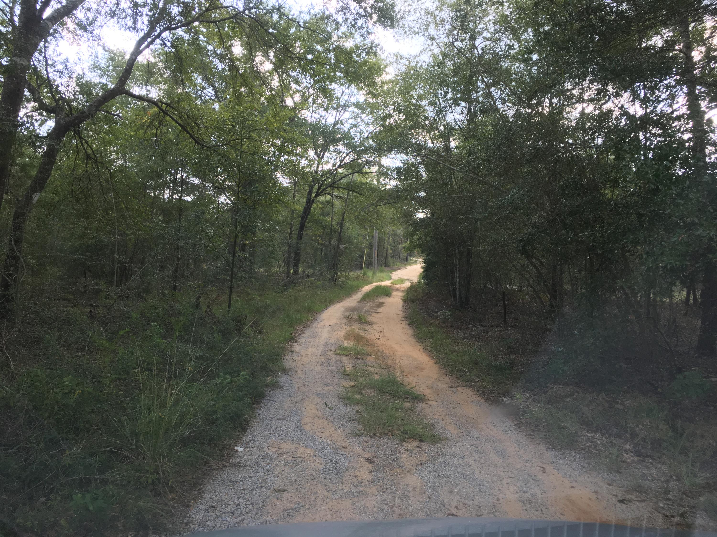 Holley Family Property Phase II - Land