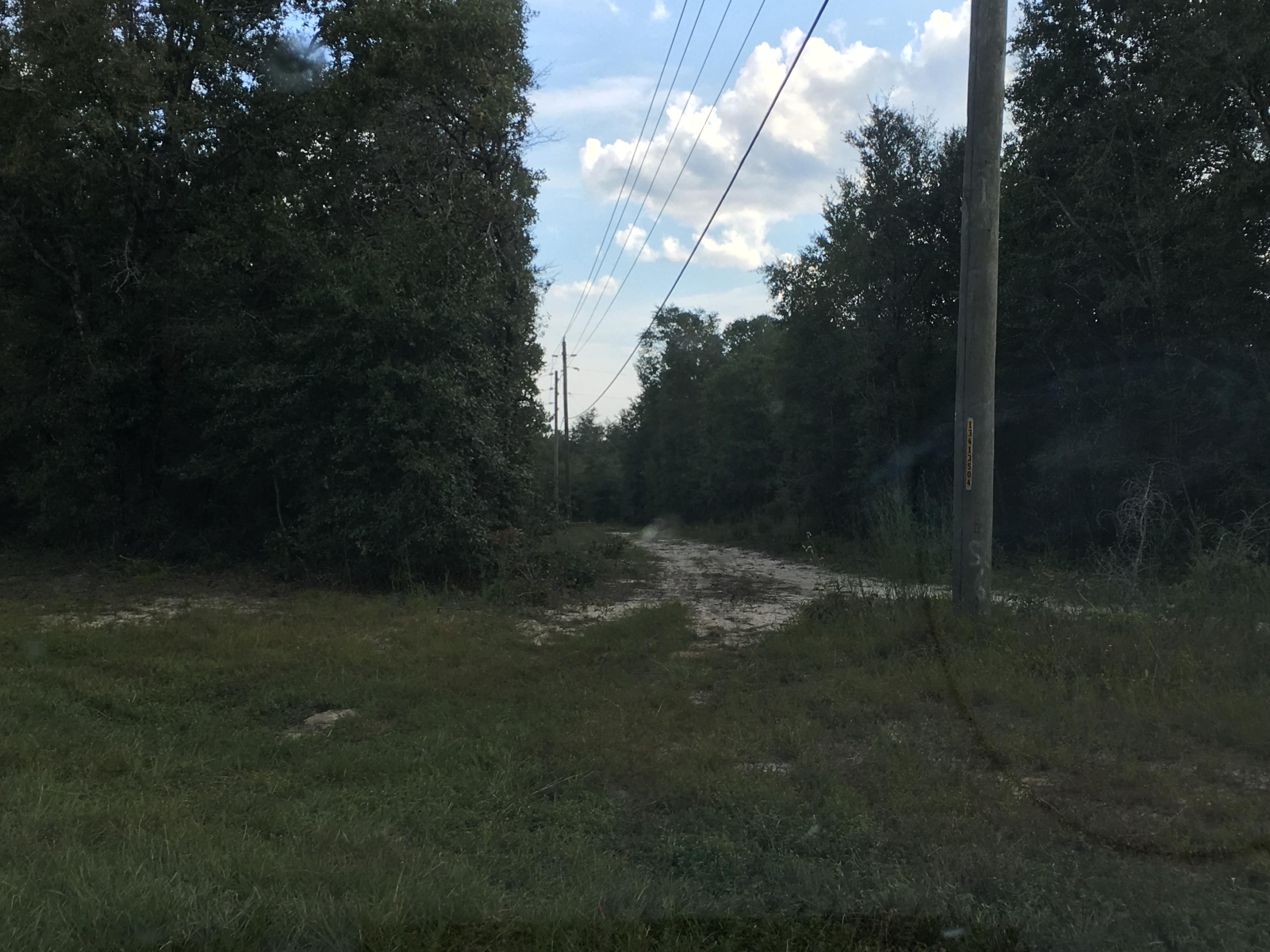 Holley Family Property Phase II - Land