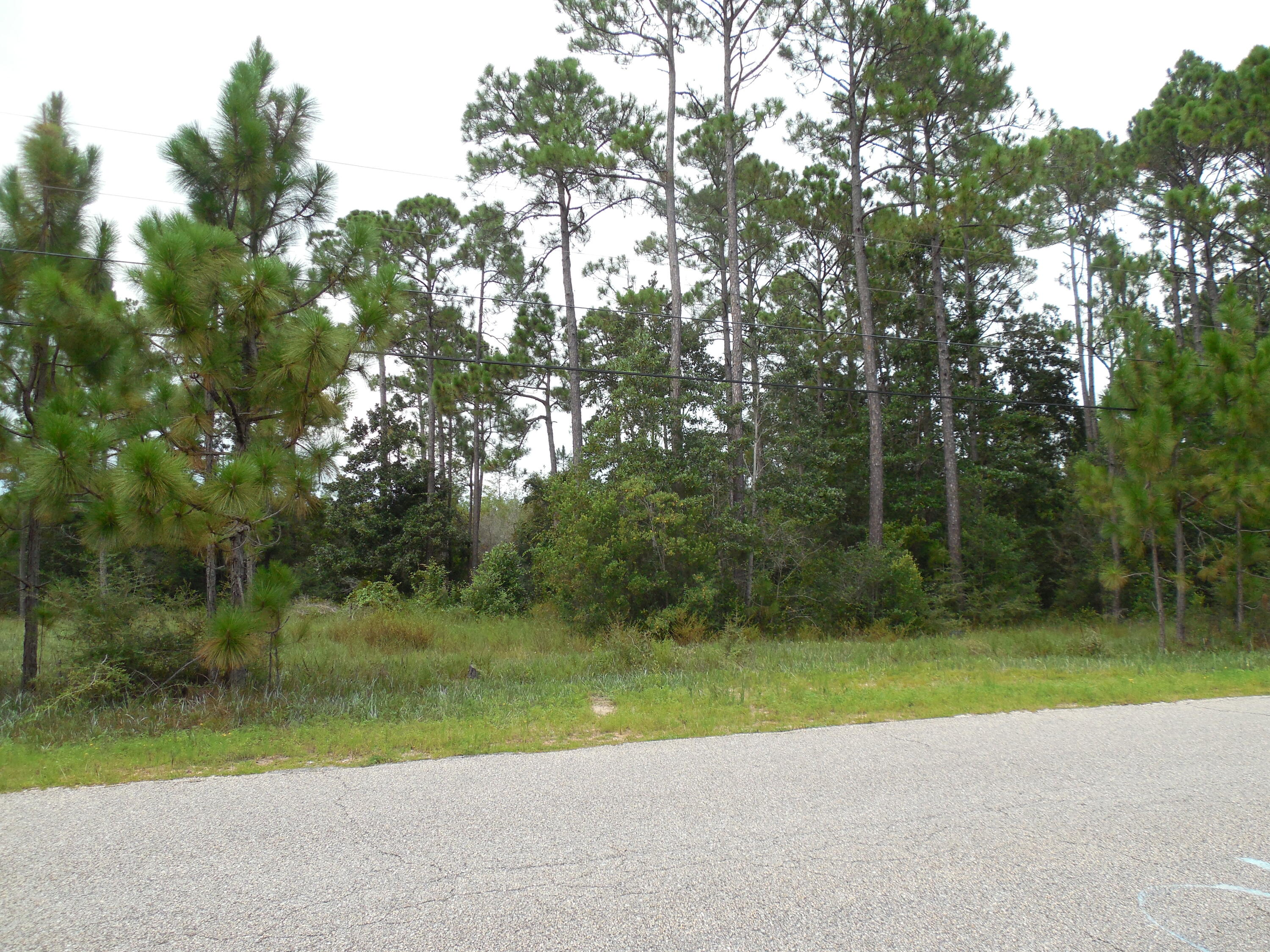 Back on the market. Buyer financing fell through! Don't hesitate it won't last long!Great location to build your dream home! Extra deep lot allows for privacy! Close to Navarre High School and just minutes from the most beautiful beaches on the Emerald Coast. Also zoned for horses! Look no further this could be yours!