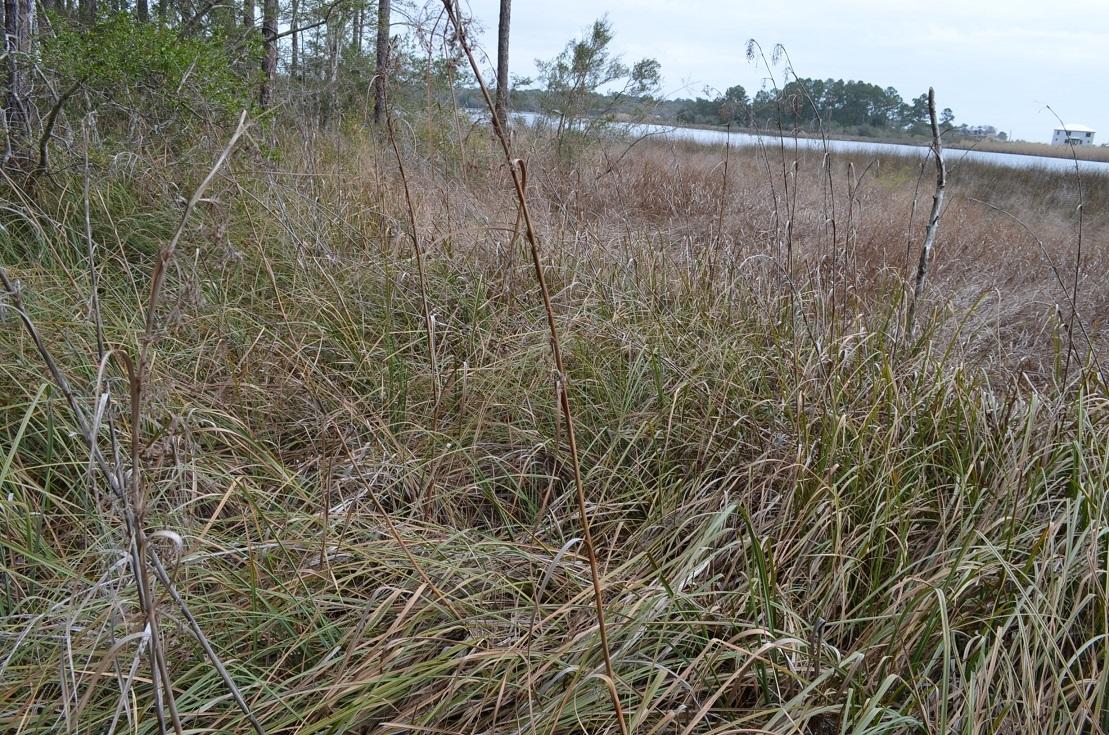 Cross Creek Shores - Land