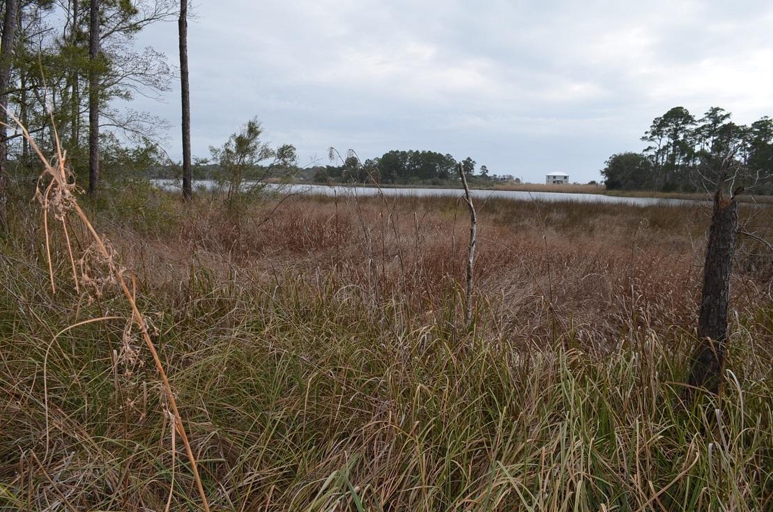 Cross Creek Shores - Land