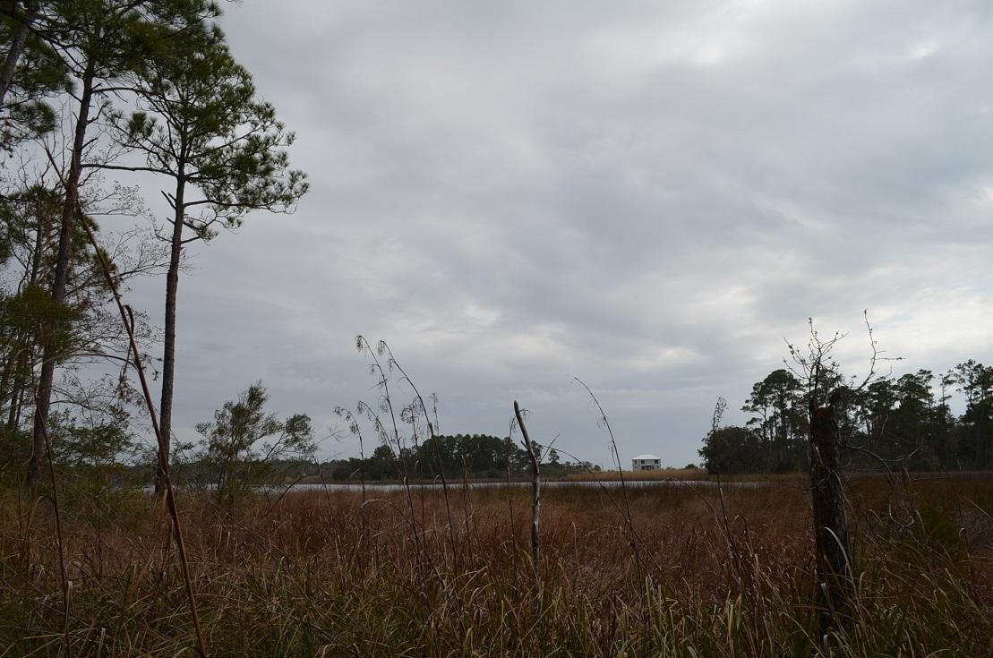 Cross Creek Shores - Land