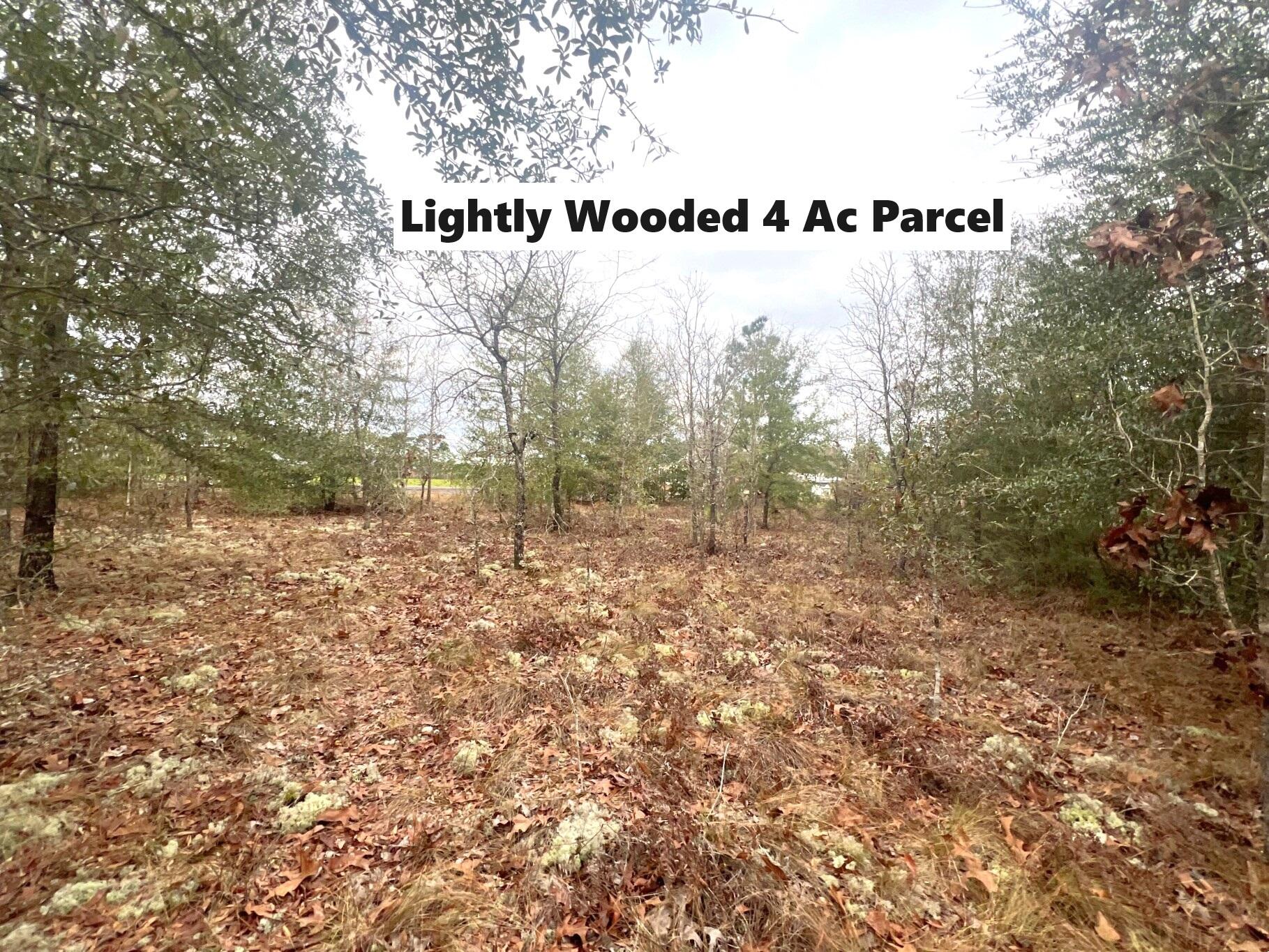 Very lightly wooded 4 acre parcel located within 15 minutes to downtown Defuniak Springs. Great location to build your dream home or have a manufactured home set on lot. Surrounded by beautiful farmland, you'll want to see this property! Power runs along this county maintained road. Well and septic would be required.