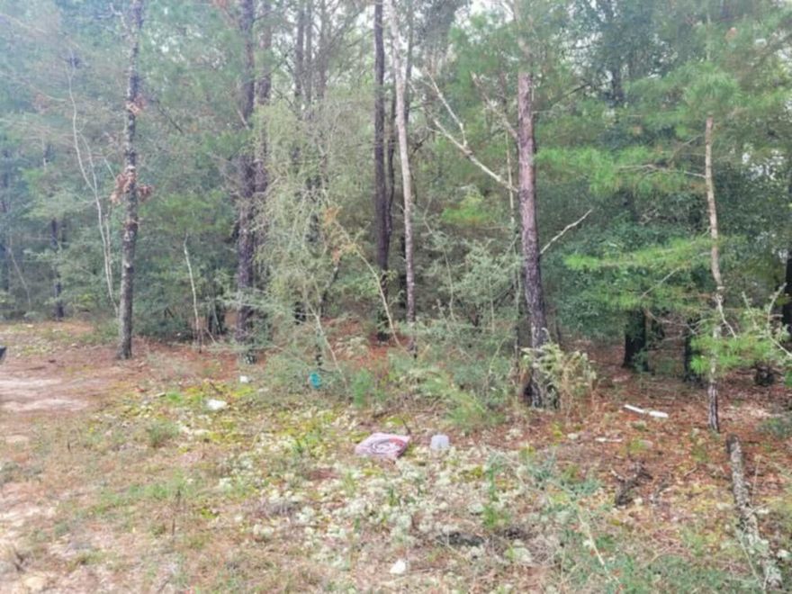 Looking for Seclusion! Beautifully wood lot approx .23 acres between DeFuniak Springs FL and Mossyhead.Mobile homes allowed. No HOA. Minimal Restrictions. There are no existing utilities. Well/Power/Septic required. Power nearby.Power is nearby.  The property is Flood Zone X. Per the Walton GIS mapping, the property does not appear to have wetlands.Easy access to the I-10 & CR 285 south making it a great location for work no matter what direction you need to go! You will be approx. 30-45 mins to most workplaces as well as the beautiful white sandy beaches of Florida famous Emerald Gulf Coast and Crab Island.Information contained within this listing is deemed to be accurate but is not guaranteed.All dimensions shown are approximately only per CRS Property Data Report.