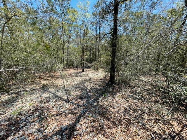 Oakwood Hills Unit III - Land