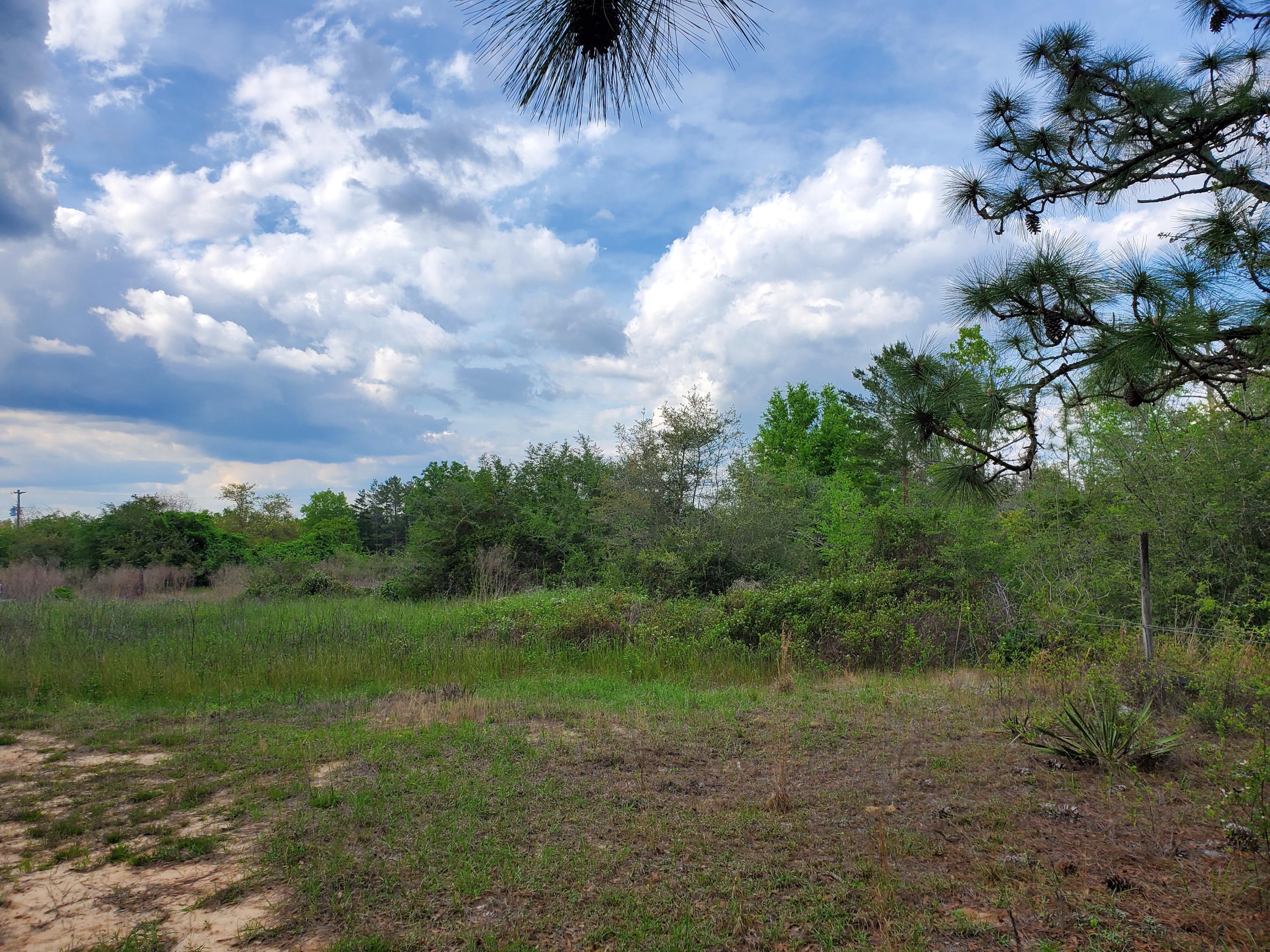 Poverty Crk & Dorcas - Land