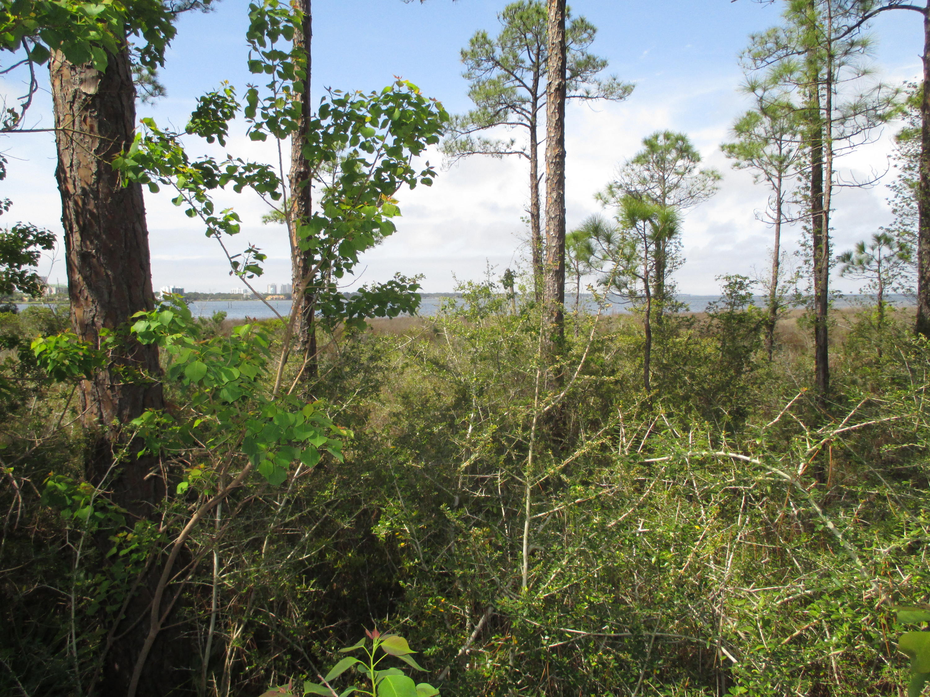 BAHIA CONDO - Residential