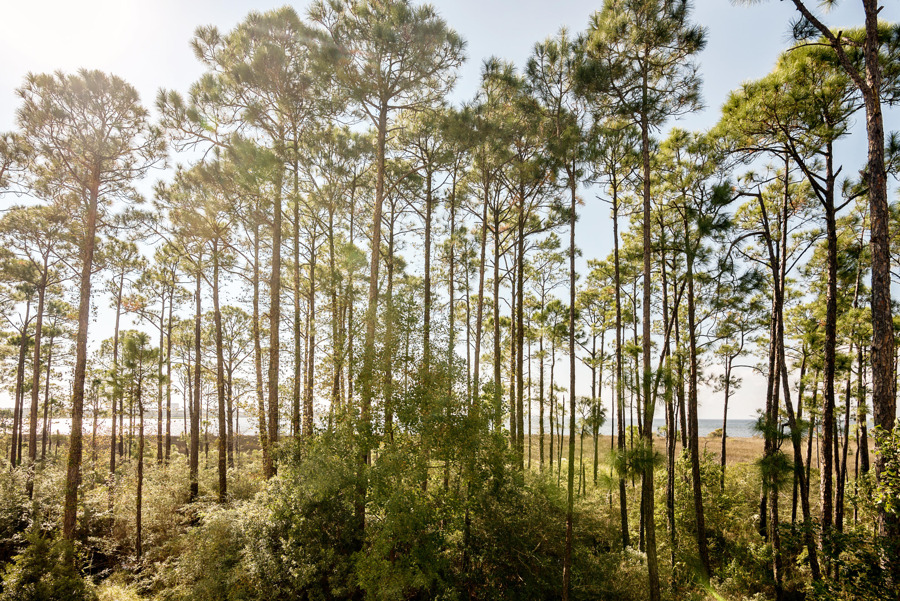 BAHIA CONDO - Residential
