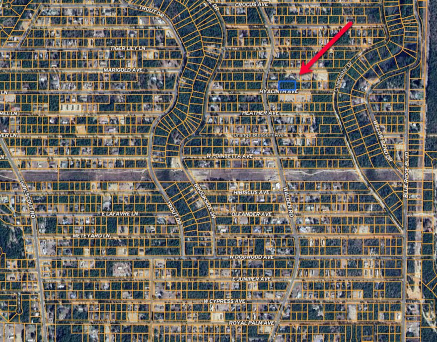 One lot of 3 platted lots in a .69 acre parcel in Oakwood Hills. Adjacent lots available No utilities currently on the property but power on street. Public water is available (tap fee would need to be paid through Mossy Head Water Works). Septic would be required.