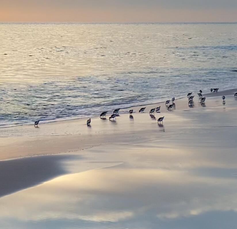 SEYCHELLES RESORT CONDO - Residential