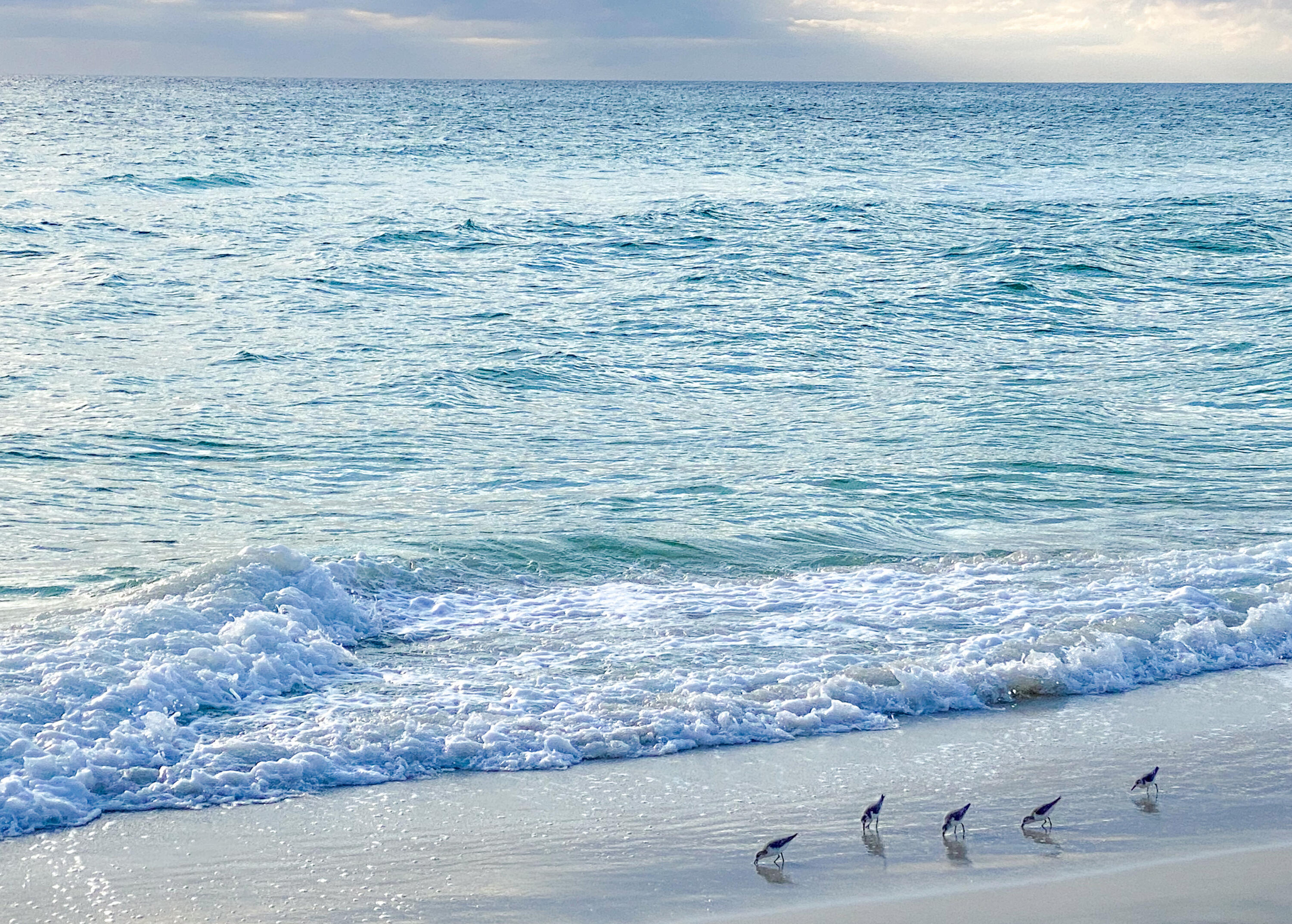 SEYCHELLES RESORT CONDO - Residential