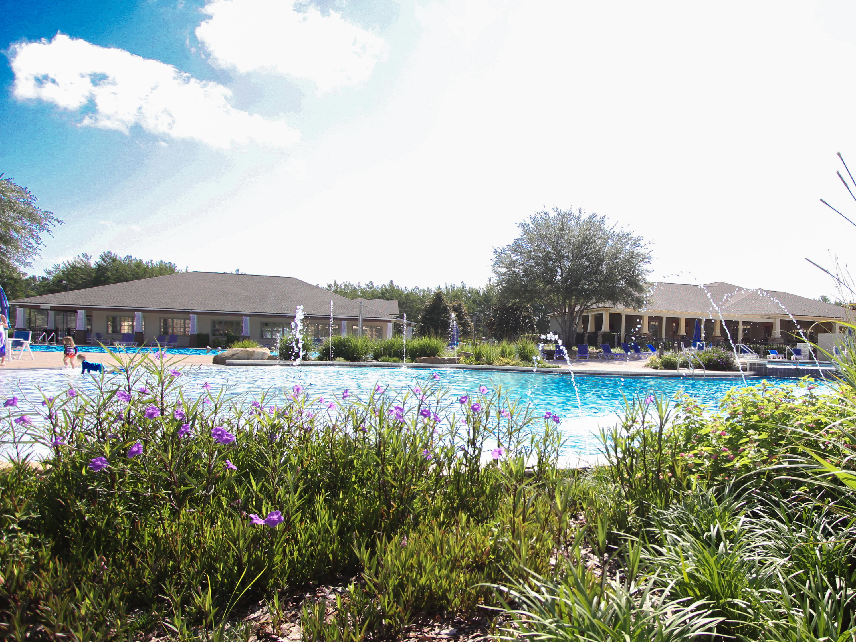 HAMMOCK BAY - Residential