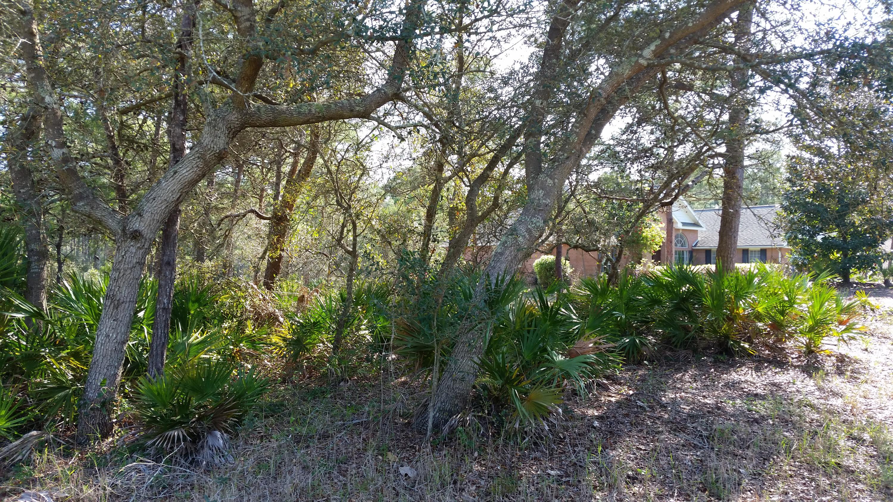 Santa Rosa Ridge Fairway Addition - Land