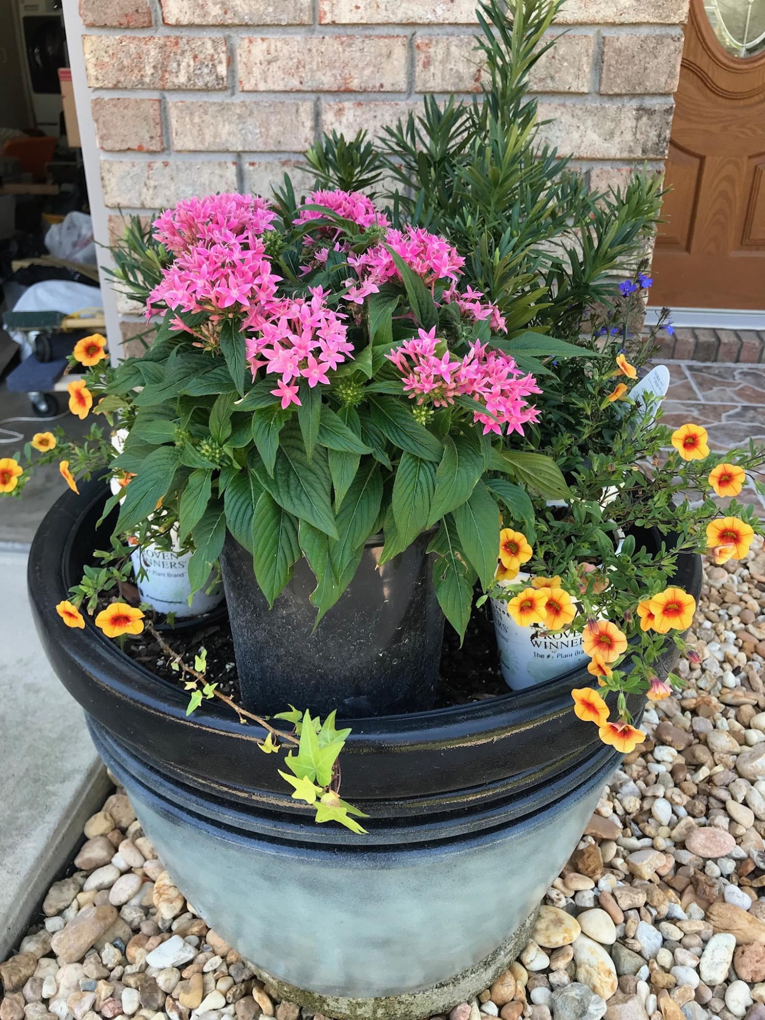 CEDAR RIDGE - Residential