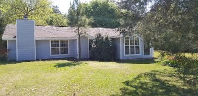 A total 1.24 Acres will convey. Beautiful lot in the country! This is a blank slate just waiting for you and your imagination. The hard work has been done. Put your own flooring and paint and arrange the kitchen to your liking. The den area has a great spot for a wood burning stove and a bar for entertaining. Beautiful back yard for cook outs or just playing outside. Property has it's own private well. Bring your imagination and see this one today.
