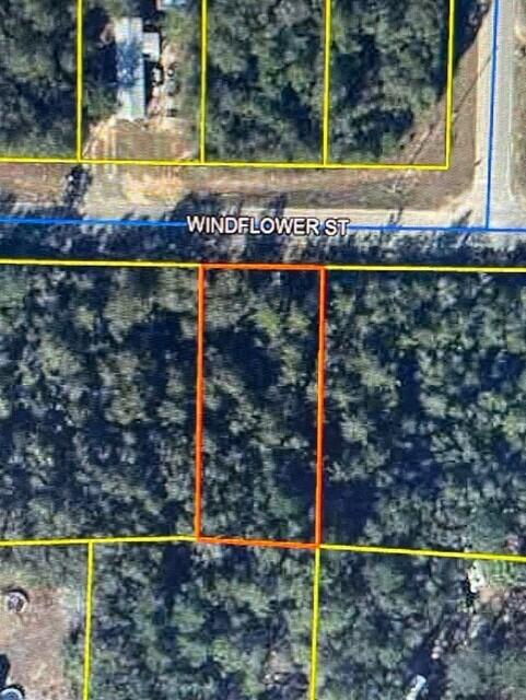 BRING YOUR NEW HOME PLANS -OR- YOUR NEWLY PURCHASED MANUFACTURED or MOBILE HOME!!! Beautiful 0.34 acre lot in Mossy Head/DeFuniak Springs area. This lot is in the perfect spot for a mobile home or new construction home with room for a workshop/shed and boat/RV. This lot has 80 feet of paved road frontage. No HOA. Easy access to I-10 and Highway 90.Conveniently located to DeFuniak Springs or Crestview. Don't let this one get away from you. Schedule your showing TODAY!
