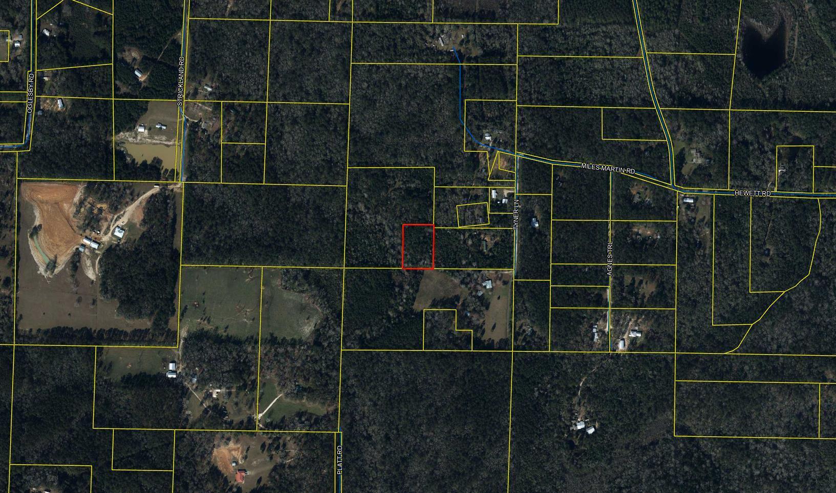 Just over 2 acres of wooded land off of Tyner Lane in Southwest Defuniak Springs. Access is by a 25 foot easement coming off of Tyner Lane. Nice site for that private homesite while still being close to town for convenience.