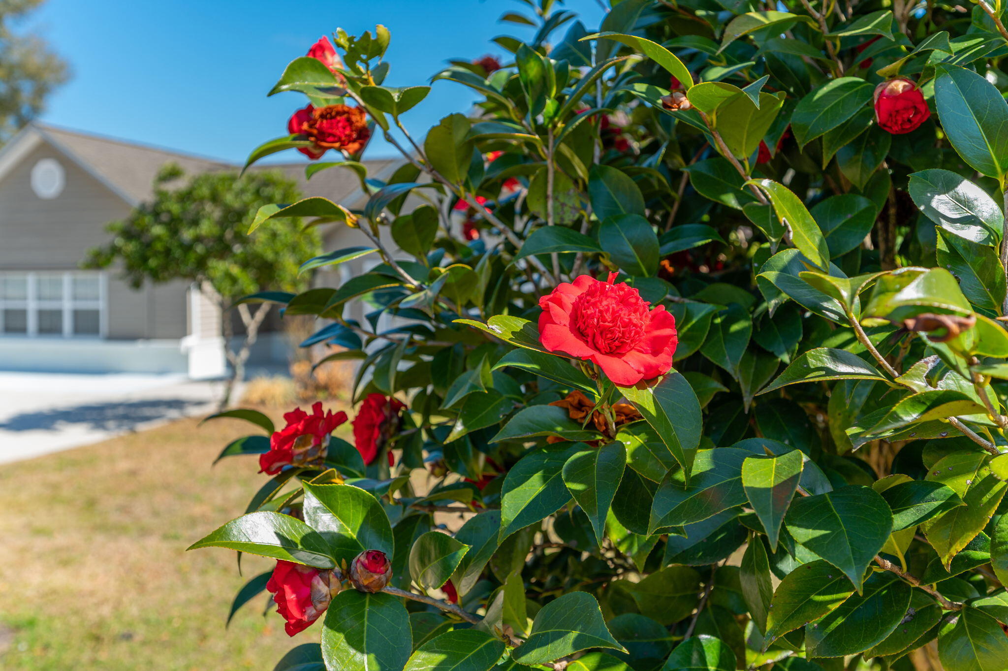 CRESTVIEW (231100.00) - Residential